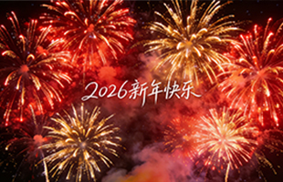 麗水威儀自動(dòng)化技術(shù)有限公司祝大家新年快樂！